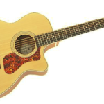 Guildのギターの評価や音の特徴とは？