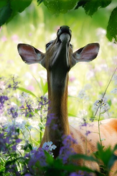 カラオケのピッチとは?ピッチ変更と補正の意味、合わない時の対応